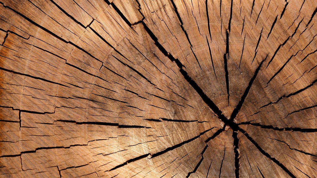 madera-imagen